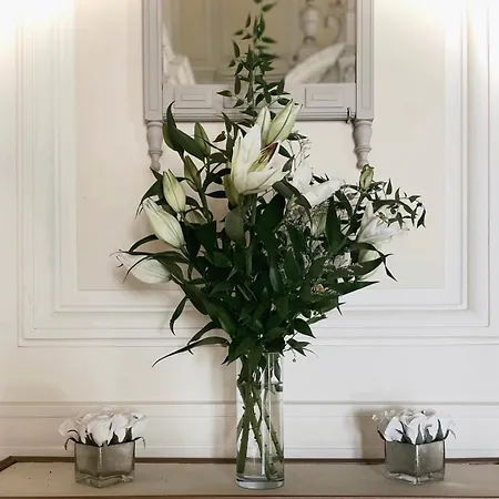 Apartment Typiquement Parisien Cosy Paris